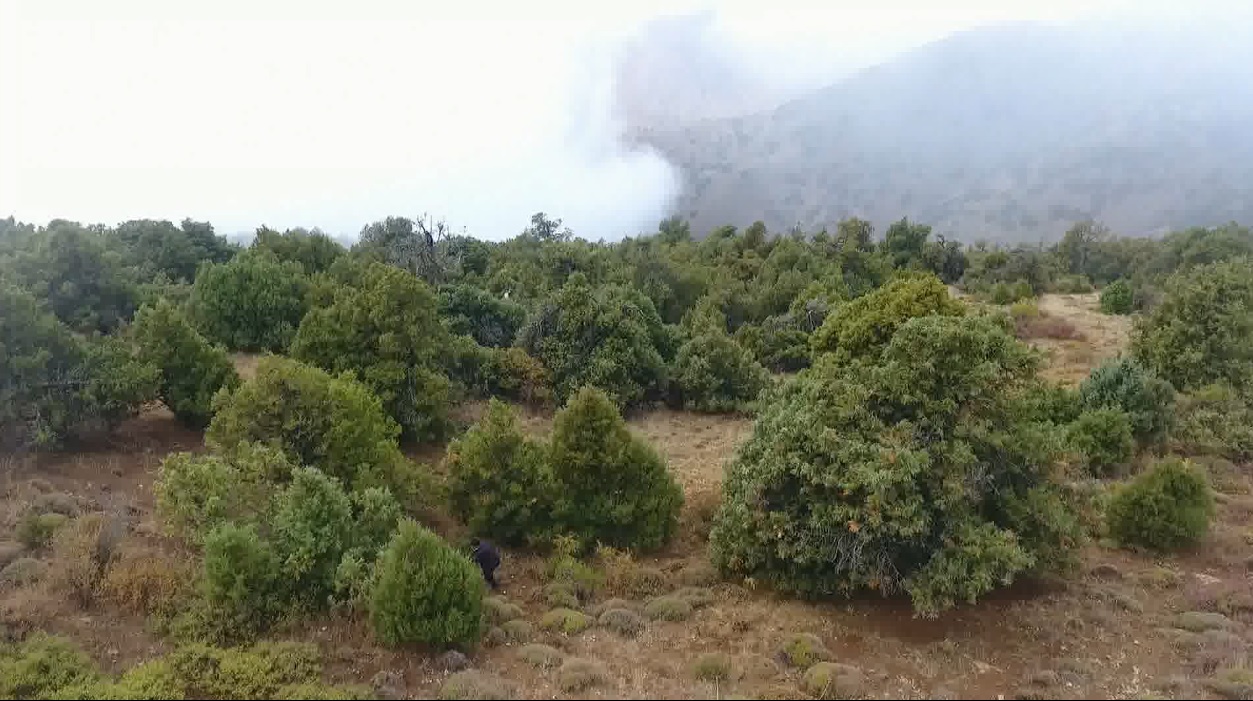 سیمای منابع طبیعی استان زنجان